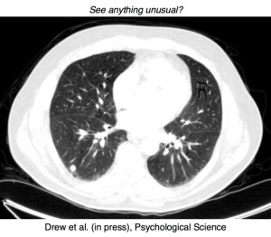 gorilla-fig-by-drew-vo-wolfe-2013